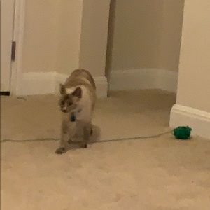 Meet your Posher, Courtney